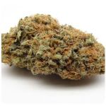 Шишки AK47 (Гидропоника, Бошка) VHQ в Подольске Шишки AK47 (Гидропоника, Бошка) VHQ в Подольске